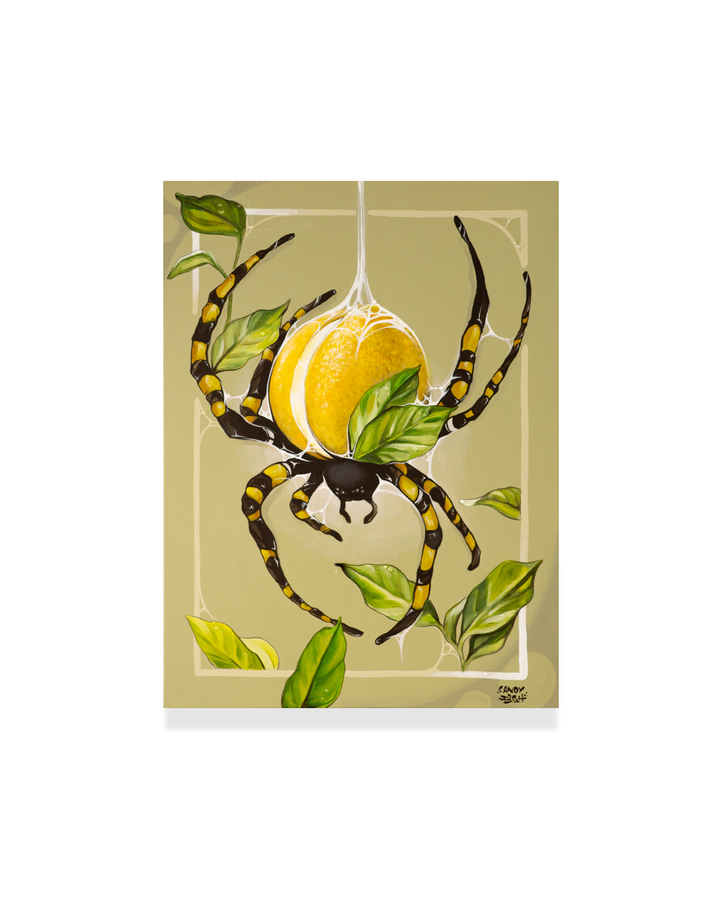 Insecticide