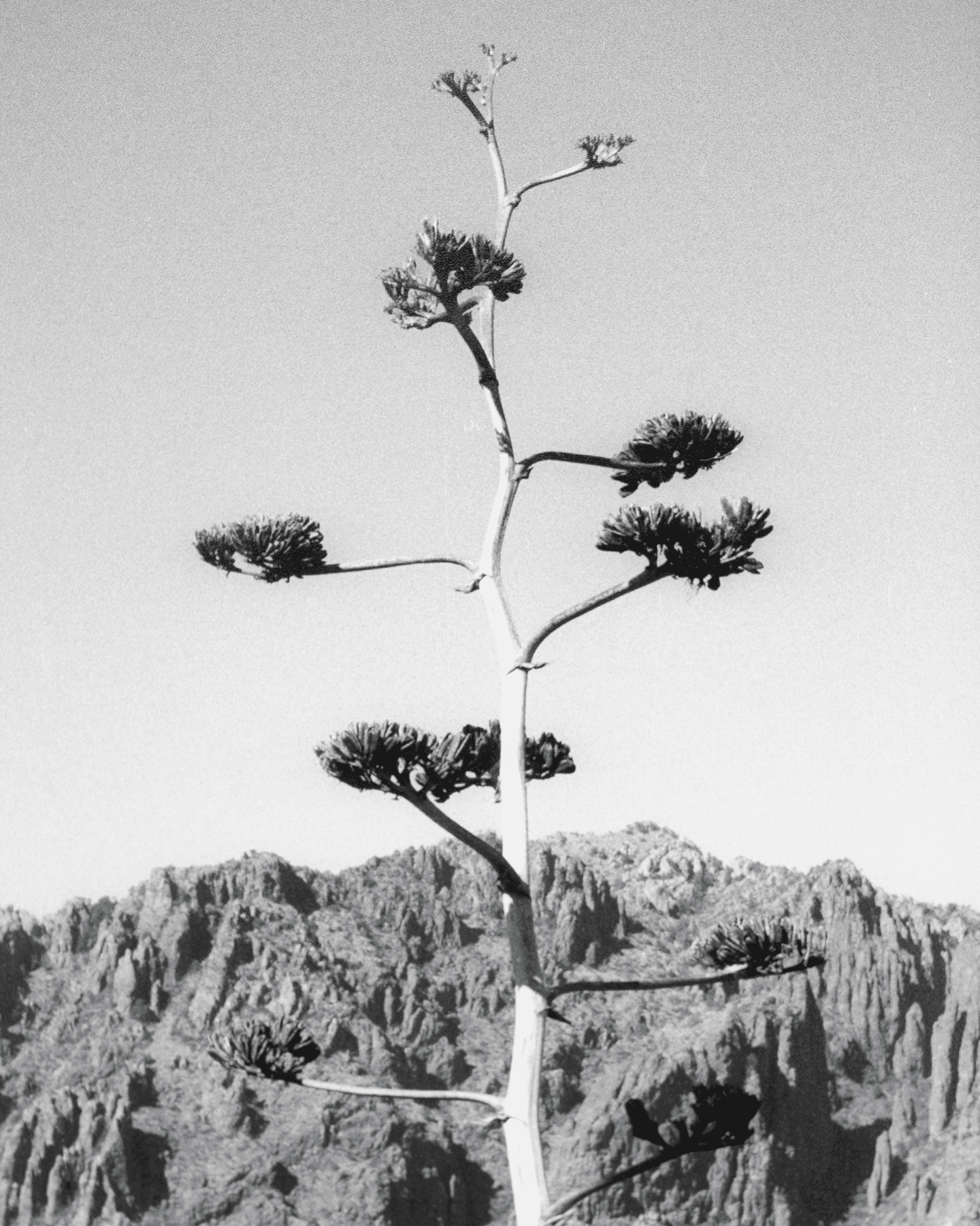 Chisos Basin, Big Bend NP