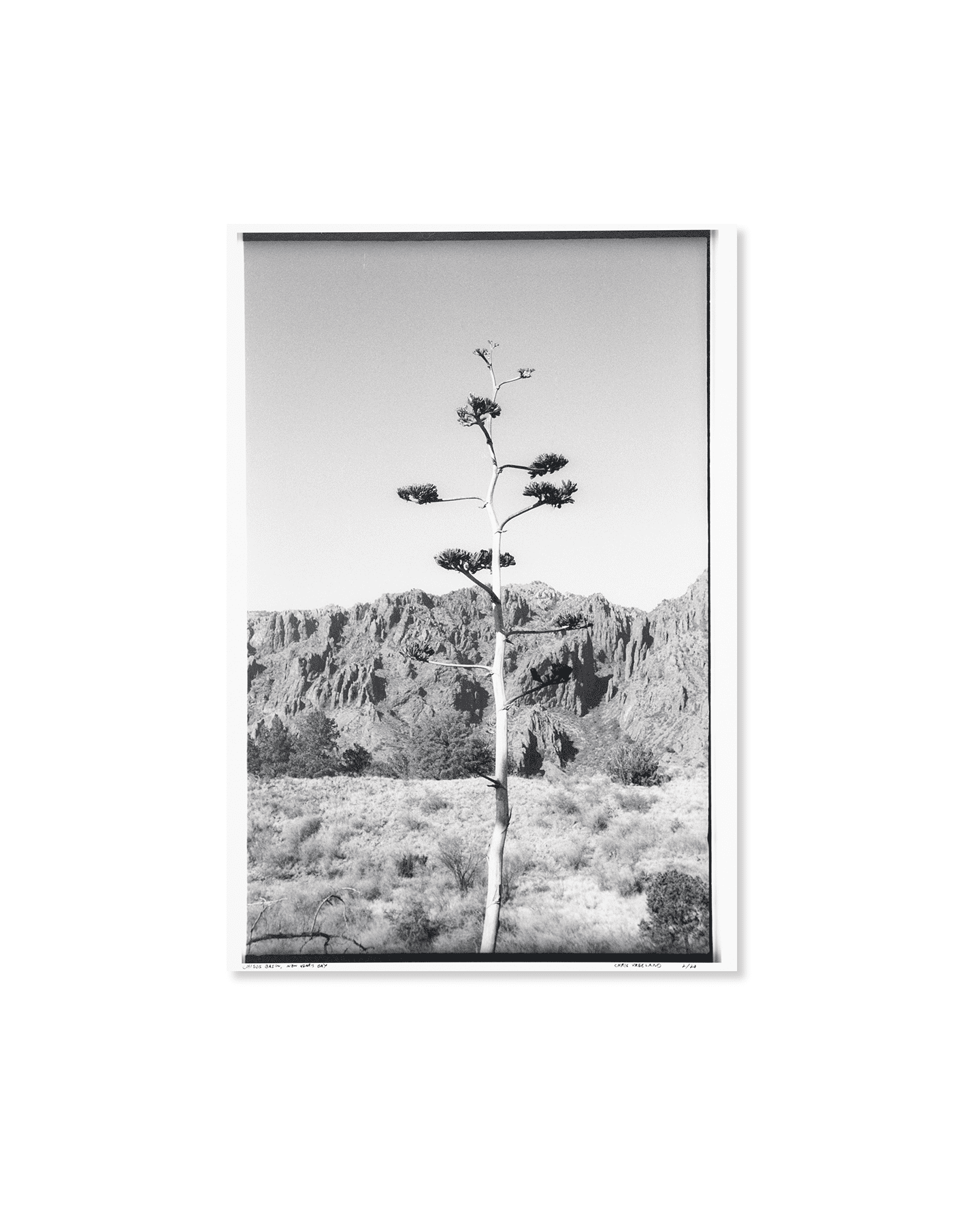 Chisos Basin, Big Bend NP